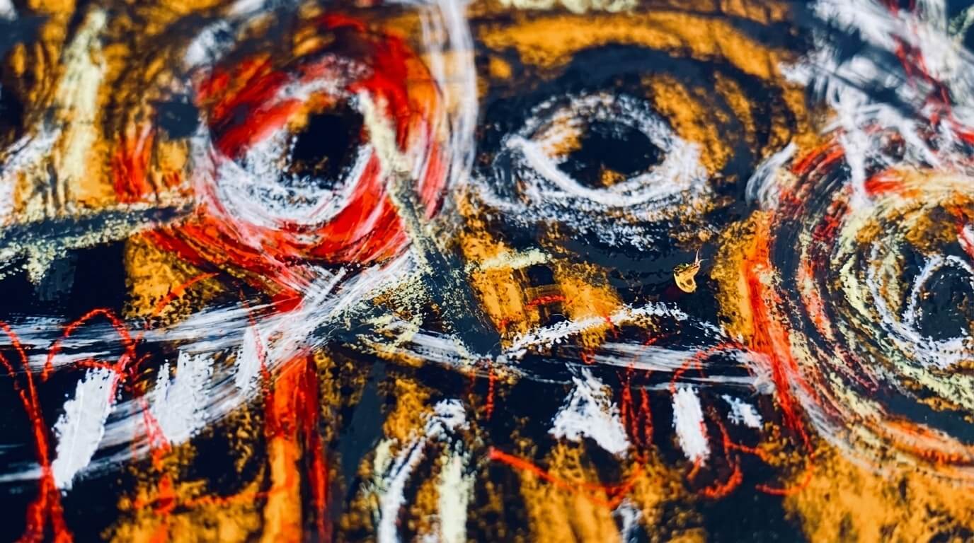 DS46456